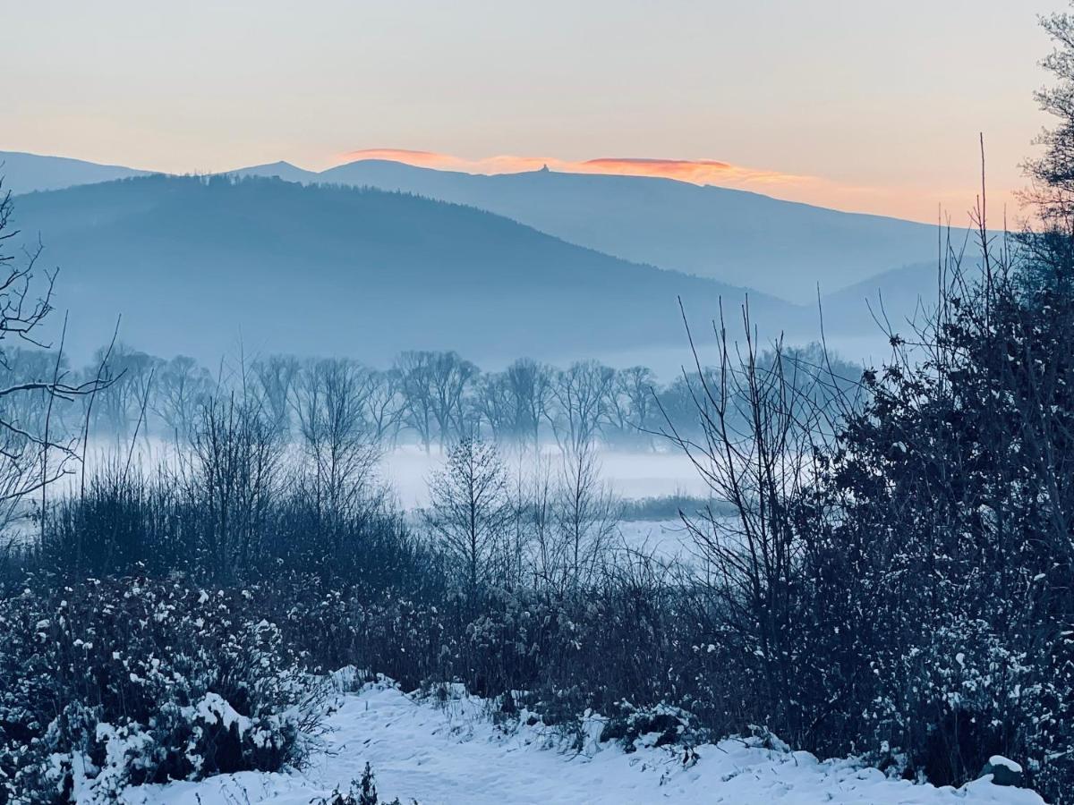 Oh Deer! Daire Jelenia Gora Dış mekan fotoğraf